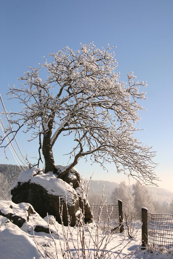 Jeleni Chata Skladanka Lučany nad Nisou Extérieur photo