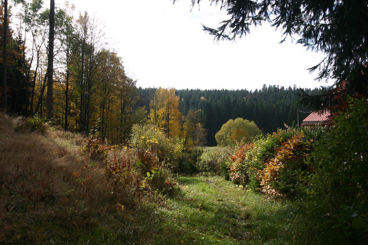Jeleni Chata Skladanka Lučany nad Nisou Extérieur photo